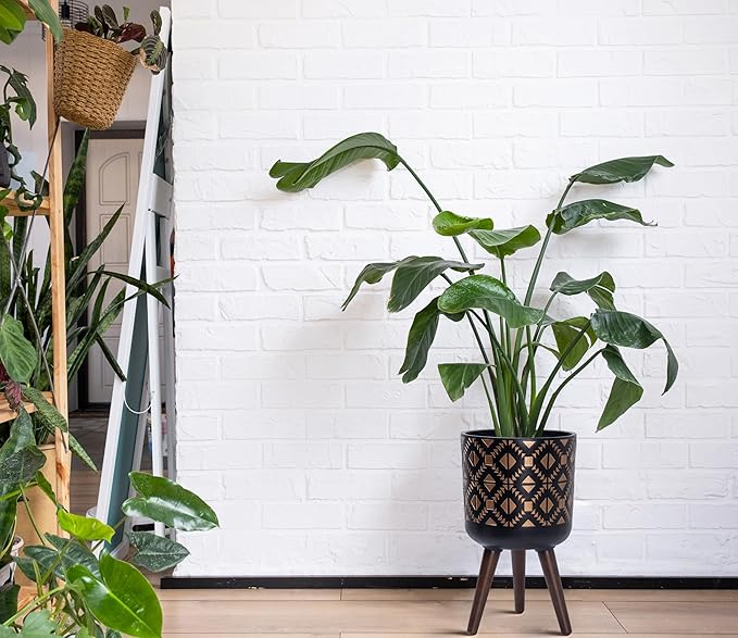 D'vine Dev 10 Inch Planter Pot with Stand, Mid-Century Tall Plant Pot with Legs for Indoor Plants, Bronze/Black, 88-G-B-6