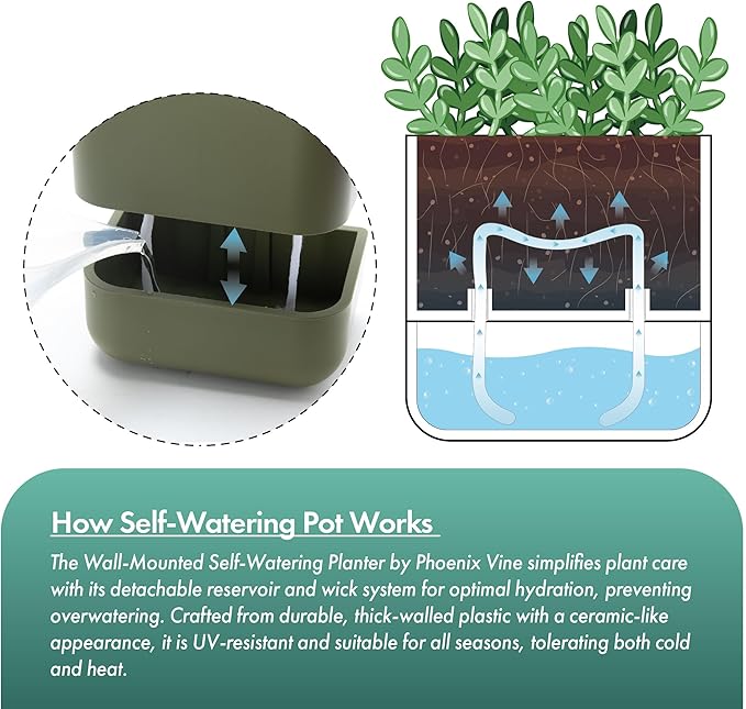 Phoenix Vine 6.5-Inch Wall Mounted Self-Watering Planter Pot for Indoor Houseplants and Herbs | Hanging Planter for Window Sills, Bathroom Walls, Home & Office Décor, Olive, Set of 1, 01-WP-C-1