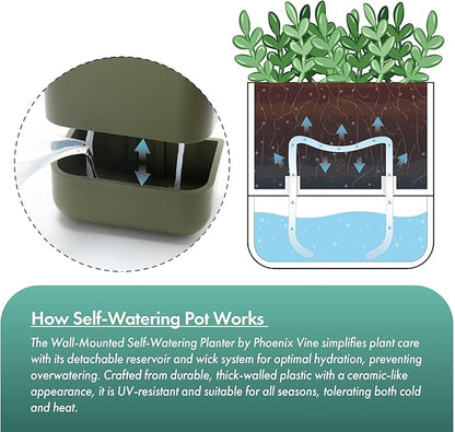 Phoenix Vine 6.5-Inch Wall Mounted Self-Watering Planter Pot for Indoor Houseplants and Herbs | Hanging Planter for Window Sills, Bathroom Walls, Home & Office Décor, Olive, Set of 1, 01-WP-C-1