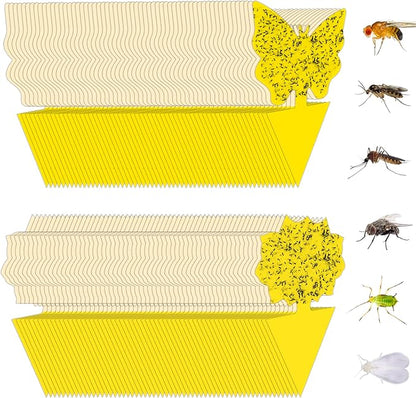 120 Pack Fruit Fly Trap for Indoors, Fungus Gnat Killer Indoor Sticky Traps for Mosquito and Flying Insects, Bug Pest Insect Catcher Killer for Houseplant