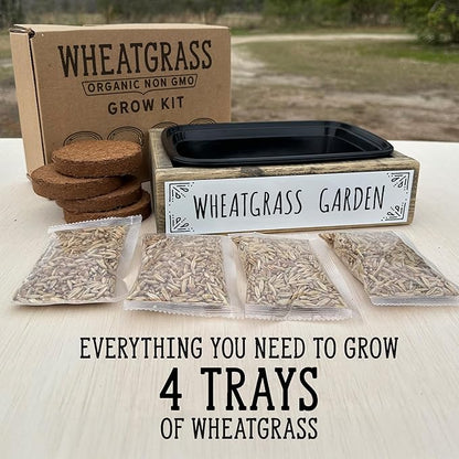 Whetagrass Kits (Wheatgrass Grow Kit - Custom Box)