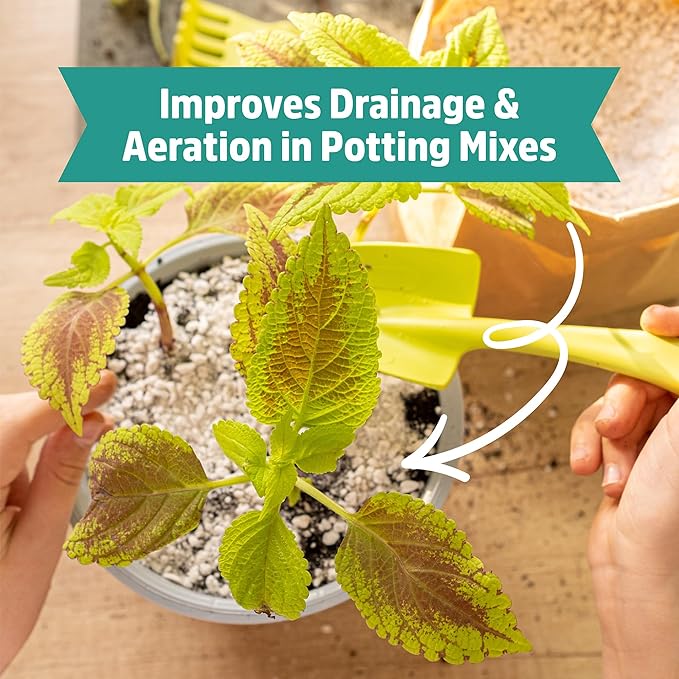 Back to The Roots 100% Organic Perlite | Made in The USA | Premium Nutrition for Indoor and Outdoor Plants