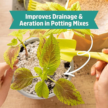 Back to The Roots 100% Organic Perlite | Made in The USA | Premium Nutrition for Indoor and Outdoor Plants