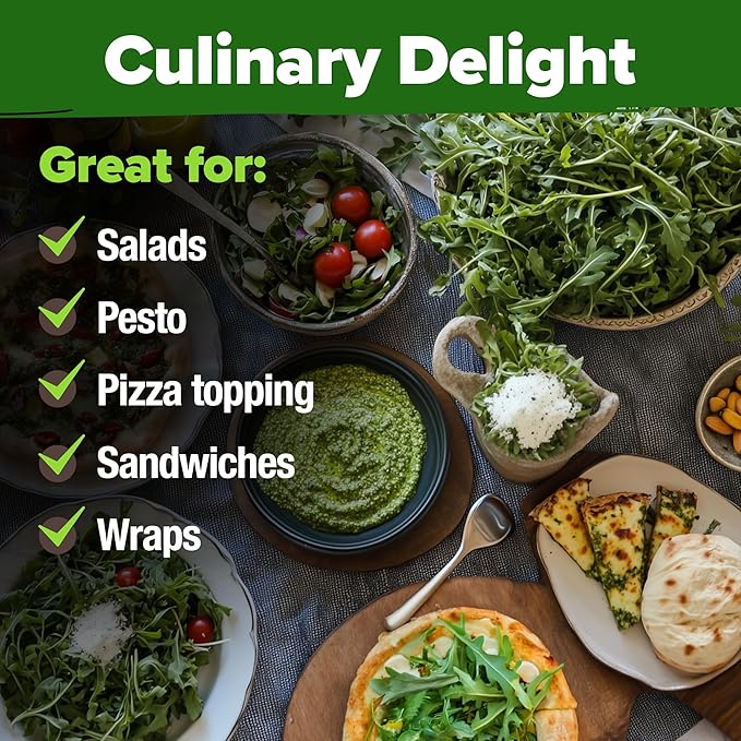 HOME GROWN Arugula Seed 2 Pack – 4350 Vegetable Seeds – Non GMO Ideal Seeds for Hydroponic Garden Indoor – Premium and Heirloom Arugula Seeds for Planting (Eruca vesicaria)