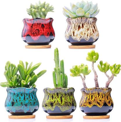 Cute Ceramic Succulent Garden Pots, Planter with Drainage and Attached Saucer, Set of 5 -Plants Not Included (Fambe)