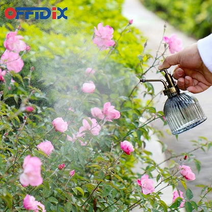 OFFIDIX Plant Mister plant water Spray Bottle, 6.3" Tall Vintage Style with Bronze Plastic Top Pump One Hand Glass Watering Can for Indoor Potted Plants Terrariums (Dark Gray)