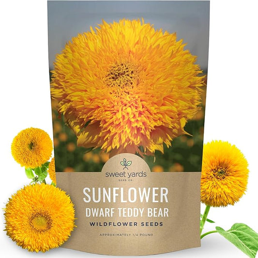Dwarf Teddy Bear (Sungold) Sunflower - Bulk 1/4 Pound Pouch - 5,000 Flower Seeds for Planting - Helianthus annuus