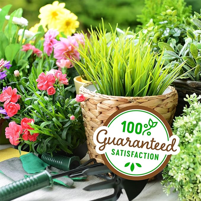 Back to The Roots 100% Organic Vermiculite (24 qt Value Pack) | Made in The USA | Premium Nutrition for Indoor and Outdoor Plants