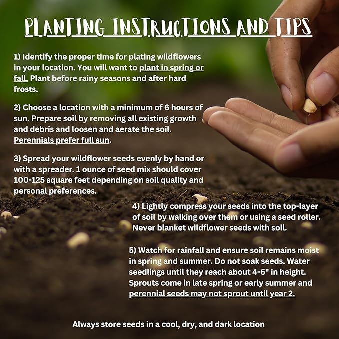 Massachusetts Bulk Perennial Wildflower Seed Mix 1lb Covers 2,000sq-ft - Attract Pollinators, Multi-Color Blooms - Northeast US Species Plant in Spring/Fall - Earth-Friendly Packaging (1/2 Pound)