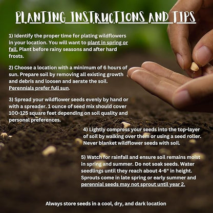 Massachusetts Bulk Perennial Wildflower Seed Mix 1lb Covers 2,000sq-ft - Attract Pollinators, Multi-Color Blooms - Northeast US Species Plant in Spring/Fall - Earth-Friendly Packaging (1/4 Pound)