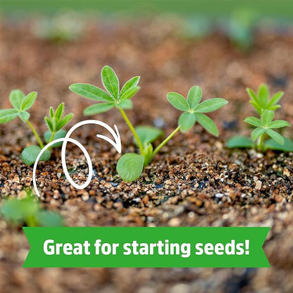 Back to The Roots 100% Organic Vermiculite (24 qt Value Pack) | Made in The USA | Premium Nutrition for Indoor and Outdoor Plants