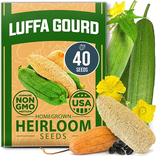 HOME GROWN Non GMO Luffa Seeds (Luffa aegyptiaca) 40 Heirloom Loofah Gourd Seeds for Planting High Germination Rate - Make Sponges or Harvest Young Loofahs for Eating