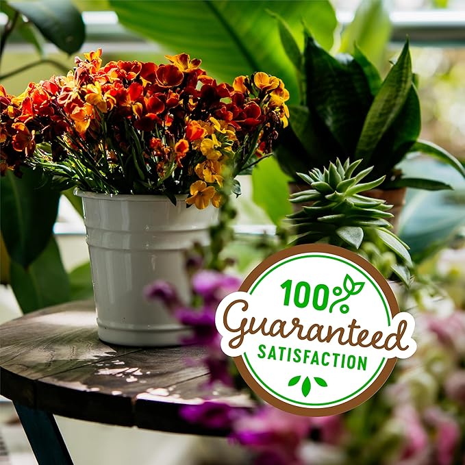 Back to The Roots 100% Organic Perlite | Made in The USA | Premium Nutrition for Indoor and Outdoor Plants