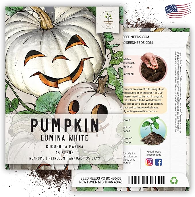 Seed Needs White Pumpkin Seeds for Planting Lumina Pumpkins - Non-GMO Heirloom & Untreated Vegetable Seeds to Plant an Outdoor Pumokin Patch - Perfect for Carving (2 Packs)