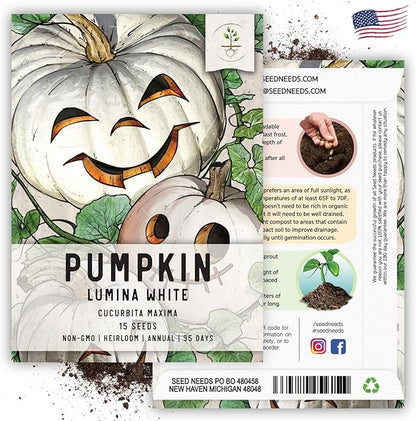 Seed Needs White Pumpkin Seeds for Planting Lumina Pumpkins - Non-GMO Heirloom & Untreated Vegetable Seeds to Plant an Outdoor Pumokin Patch - Perfect for Carving (5 Packs)