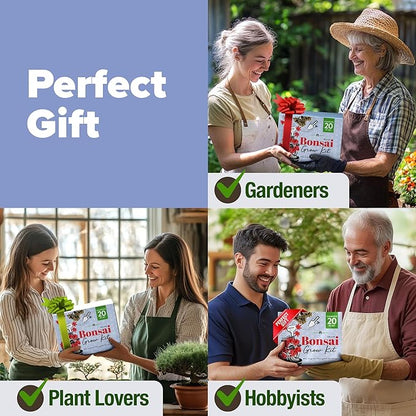 HOME GROWN Bonsai Tree Kit – Premium Ceramic Starter Set with 4 Bonsai Varieties – Easy Indoor Gardening Gift for Men & Women – Unique Plant Kit for Beginners & Nature Lovers