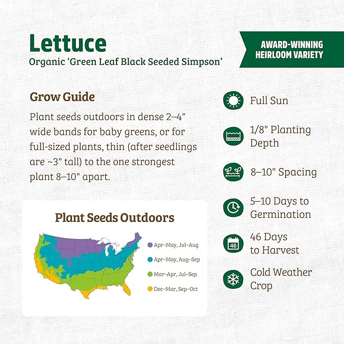 Back to The Roots 100% Organic Seed Packet - Lettuce 'Green Leaf Black Seeded Simpson' 420mg