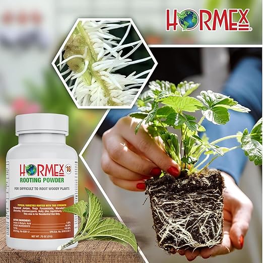 Hormex Rooting Powder #16 & Rooting Cubes Combo - Rooting Hormone for Hardwood Cuttings & Organic Peat Moss Coco Plugs - Fast, Healthy Root Growth for Propagation, Hydroponics, & Seed Starting