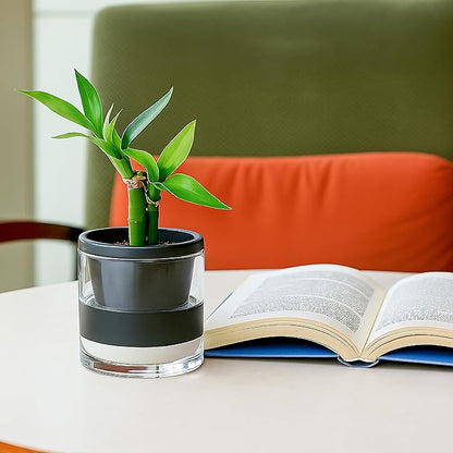 D'vine Dev 4 Inch Design Self Watering Planter for Indoor Plants, Black Terracotta Pot with Cylinder Glass Cup, Set of 3, 37-Z-A-3-T