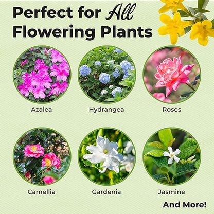 Advanced Bloom Booster Flower Fuel by Perfect Plants | Water Soluble & High Nutrient Fertilizer for Beautiful Flowers and Fruit Such as Rose, Blueberry, Plumeria, and Hydrangea (226 Grams)