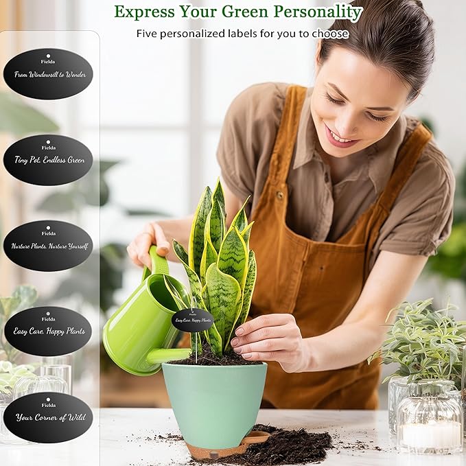 6 Inch Self Watering Pots for Indoor Plants (5-Pack) – Small Plastic Planters with Water Window, Drainage Holes & Trays, Indoor Outdoor Flower Pots for Herbs, Succulents, Home Garden Decor (Green)