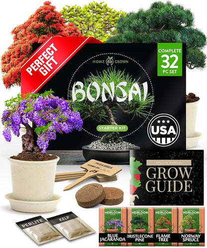 Bonsai Tree Kit Gifts for Men & Women - Grow 4 Bonsai Trees - Unique Gardening Crafts for Adults, DIY Hobbies for Plant Lovers & Gardeners - Unusual Christmas Gift Ideas for Mom & Dad