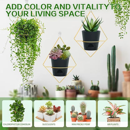 3 Sets Wall Planters for Indoor Plants Geometric Hanging Planters for Indoor Plants - Self-Watering Flower Pots with Black Metal Holder, Mounted Succulent Planter, 5" Black Plant Pot