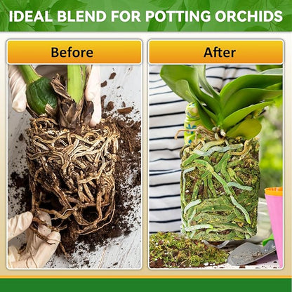 Riare 6QT Orchid Potting Mix for Repotting- Orchid Repotting Kit Include Moss, Pine Bark, Perlite, Coco Peat- Premium Orchid Soil Medium for Indoor Potted Plants Root Ventilation & Expanding