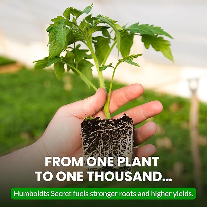 Humboldts Secret Plant Enzymes | 7,000 Active Units per mL | Root & Soil Enzyme Additive for Hydroponic and Aeroponic Systems | Boosts Growth and Root Strength for Maximum Nutrient Uptake | 8 Ounce