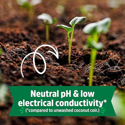 Back to The Roots Organic Seed Starting, Compressed Block expands to 12 Quarts, Made for Herbs, Veggies, Flowers