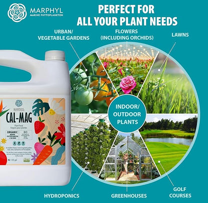 MARPHYL Organic CALMAG Liquid Fertilizer, Calcium + Magnesium, Corrects Common Plant Deficiencies, for Garden, Flowers, Vegetables, Succulents, Bamboo, Hydroponics 1.05 gal