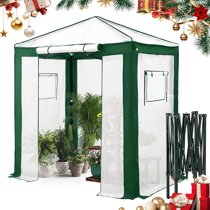 EAGLE PEAK 6x4 Portable Walk in Greenhouse with Polyester Reinforced Corners, Instant Pop up Indoor Outdoor Gardening Green House, Roll Up Zipper Entry Door and Mesh Windows, Green/White