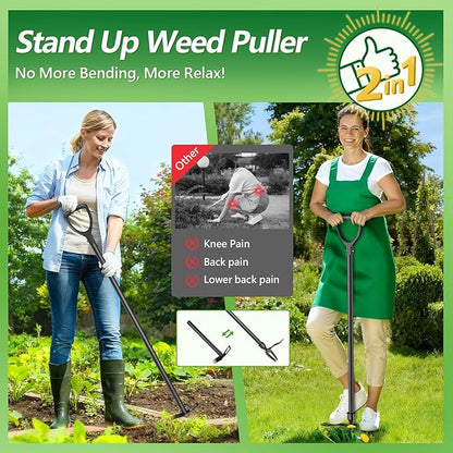 Weed Puller Tool, 2-in-1 Stand Up Weeder with 4-Claw Head & Rake, No Tools Required Assembly, Gets Rid of Weeds & Roots Permanently for a Pristine Lawn