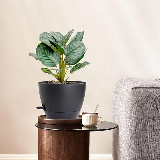 10 inch Self Watering Pots, 2 Pack Plastic Planters with Mesh Drainage Holes for Garden Plants and Flower, Plants Pots with Deep Reservoir for Indoor Outdoor Plants, Black