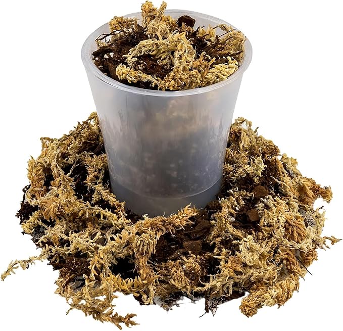 Gardenera Premium Orchid Mix by GARDENERA | Fern + New Zealand Pine Bark + Sphagnum Moss + Perlite | Best for Growing and Repotting Orchids - 5 Quart Bag