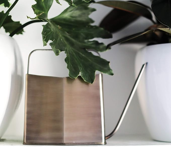 Modern Sprout Brass Finish Plant Watering Can - 3L Capacity - Long Spout Stainless Steel Vessel for Outdoor & Indoor Plants - Rust Resistant - Garden Accessory for Houseplants & Decorative Use