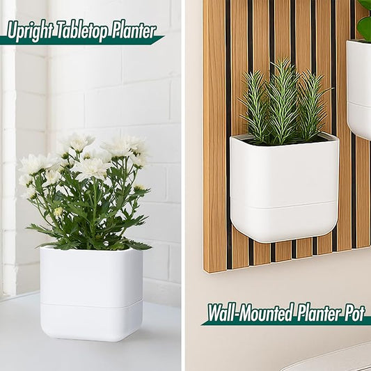 Phoenix Vine 6.5-Inch Wall Mounted Self-Watering Planter Pot for Indoor Houseplants and Herbs | Modern Hanging Planter for Window Sills, Bathroom Walls, Home & Office Décor, White, Set of 1, 01-WP-W-1