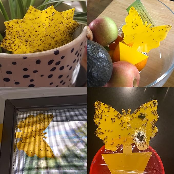 60 Pack Fruit Fly Trap for Indoors, Gnat Traps for House Indoor Gnat Killer, House Plant Gnats Bugs Sticky Killer Fruit Fly Traps for Indoor