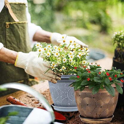 6 Inch Flower Pots Planters for Indoor Outdoor Plants, 6 Pack Plastic Small Plant Pots with Drainage Hole & Tray, Modern Decorative Garden Pot with Saucer, Plant Container for House