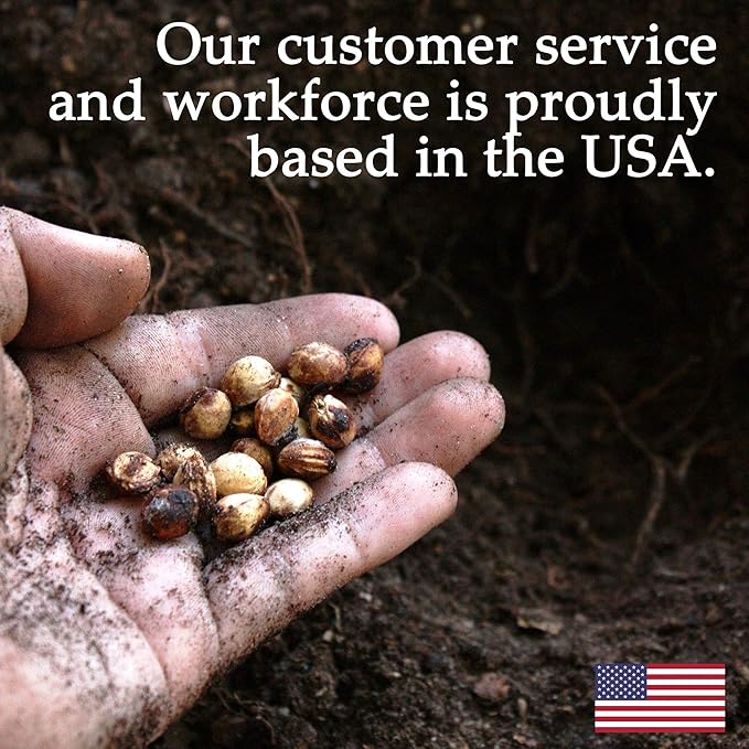 African Marigold Flower Garden Seeds - Discovery Series F1 - Mix - 1000 Seeds - Annual Flower Gardening Seed - Tagetes erecta