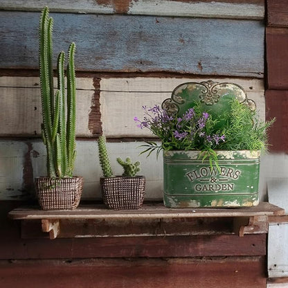 CVHOMEDECO. Farmhouse Metal Wall Planter Rustic Galvanized Flower Holder Wall Mount Flower pots for Indoor, Outdoor and Wall Decor, Set of 2 (Green)