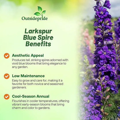 Outsidepride Delphinium Blue Larkspur Seeds for Planting Outdoors - 1000 Pcs Annual, Self-Seeding, Heat & Drought Tolerant Wildflower Seeds, Colorful Blooms for Flower Arrangement & Pollinator Garden