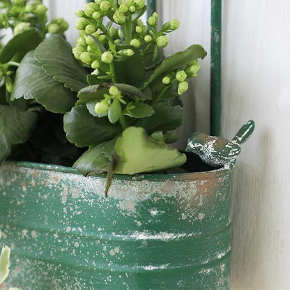 Rustic Metal Wall Planter Vintage Wall Mounted Flower Pot Distressed Wall Hanging Plant Basket Farmhouse Wall Decor for Indoor Outdoor Garden Home Yard (Green)
