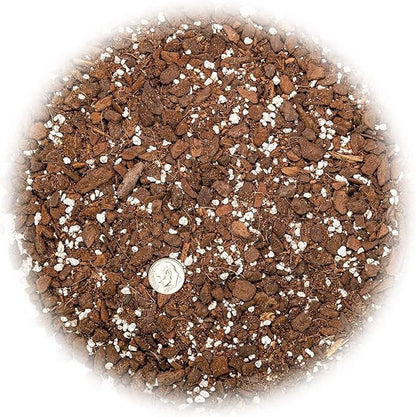 GARDENERA Monstera Borsigiana Soil Mix - Expertly Formulated for Strong Root Development - 2 Quart