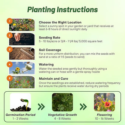 Outsidepride Annual Sun Wild Flower Seed Mix - 1 lb Premium Blend of Annual Wildflower Seeds for Sunny Locations, Vibrant & Easy-to-Grow, Attracts Pollinators, Ideal for Home Gardens & Floral Displays