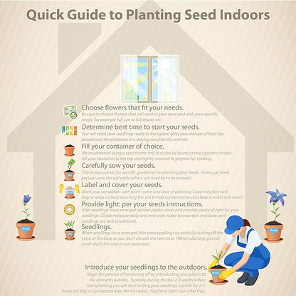 Outsidepride Apricot Verbena Seeds for Planting - 1000 Pcs. Annual, Drought Tolerant & Easy to Grow, Ground Cover with Fragrant & Vibrant Blooms for Window Boxes, Borders & Pollinator Gardens