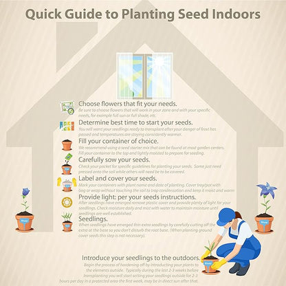 Outsidepride Vanilla Gerbera Seeds - 20 Pcs Perennial, Compact & Low Maintenance, Flower Seeds for Planting w/Vibrant White Blooms, Ideal for Garden Landscaping & Cut Flower Arrangements