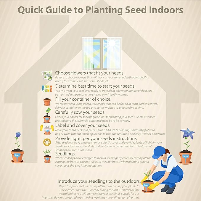 Outsidepride Big Red Viola Pansy Seeds for Planting - 100 Pcs. Biennial, Cold-Hardy & Pollinator Friendly Flowers with Fragrant Blooms for Garden Beds, Borders & Container Displays