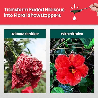 16oz Hibiscus Fertilizer - Makes 16 Gallons of Hibiscus Flowers Plant Food Outdoor - Indoor Plant Fertilizer Liquid for Vibrant, Showy Flowers, Greener Leaves, Strong Roots, and Lush Growth