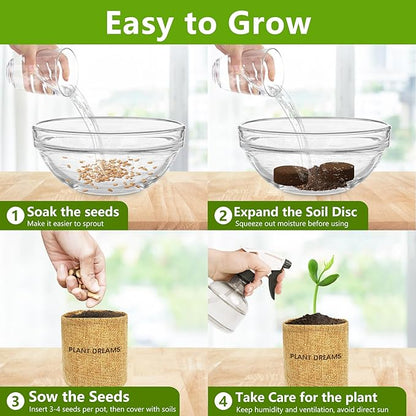 Bonsai Tree Kit, Bonsai Starter Kit with Seeds & Tools, Tree Live Plants Indoor, Gardening Gifts for Women Men Mom Father Plant Lover, Birthday Thanksgiving